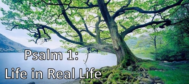 Life in Real Life